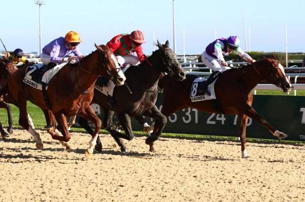 Forchester Arrivée Quinté+ Pmu Prix Charles Gastaud à Cagnes-sur-Mer