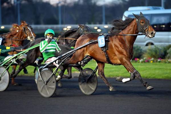 Jushua Tree Arrivée PMU Pick5 Prix Bold Eagle - Swc 5 ans Finale à Vincennes
