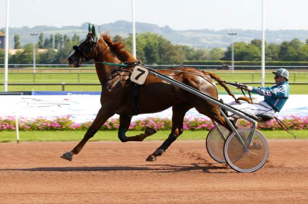 LEADER DU CHATELET