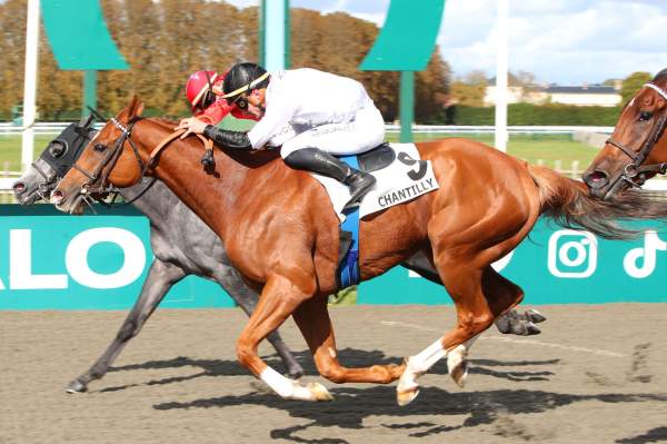 Central Park West Arrivée Quinté+ Pmu Prix de la Chambre du Duc à Chantilly