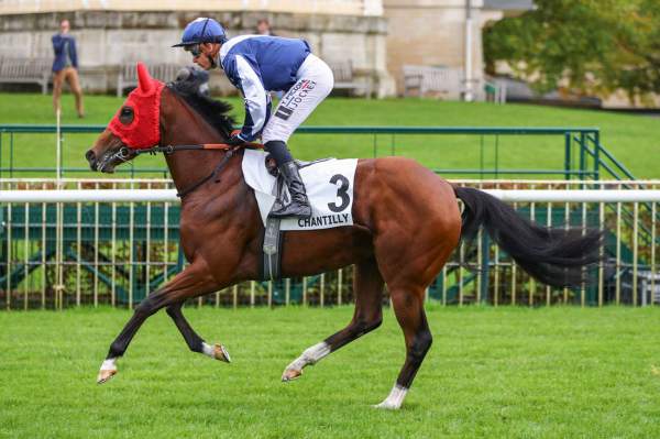 SPIRIT D'OR