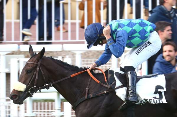 Zaine Arrivée PMU Prix Magne à Auteuil