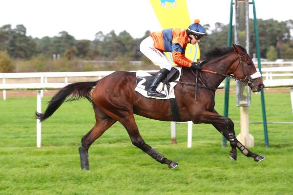 CALEDONIENNE