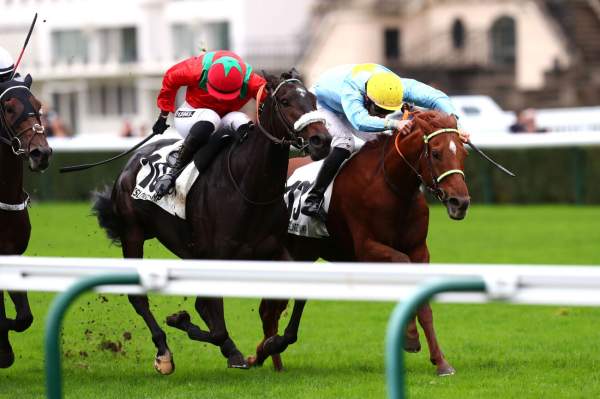 Lucio Vero Arrivée Quinté+ PMU Prix Rieussec à ParisLongchamp