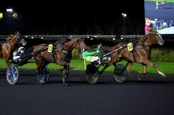 Joumba De Guez Arrivée Quinté+ PMU Prix Pierre Van Troyen à Vincennes