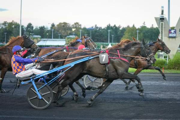 HELIOS DES CHAMPS