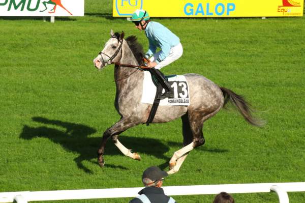 KINGSWOOD FLYER