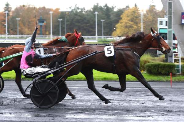 JOKER DU LYS