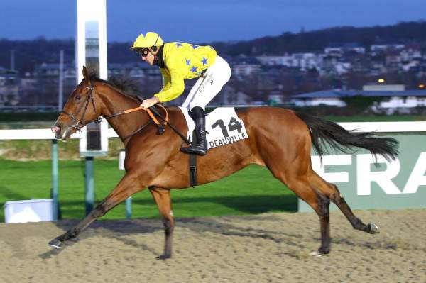 LADY OF SPAIN
