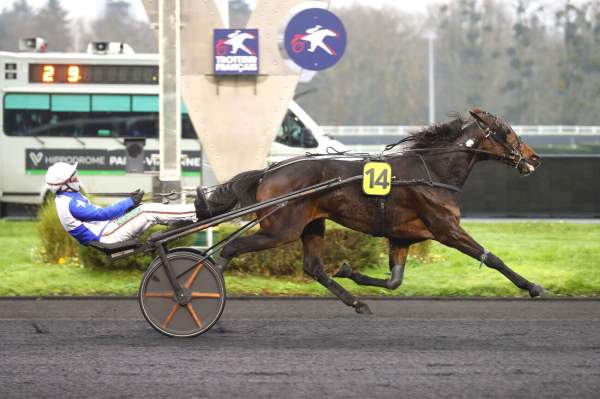 EXPRESS D'ARC