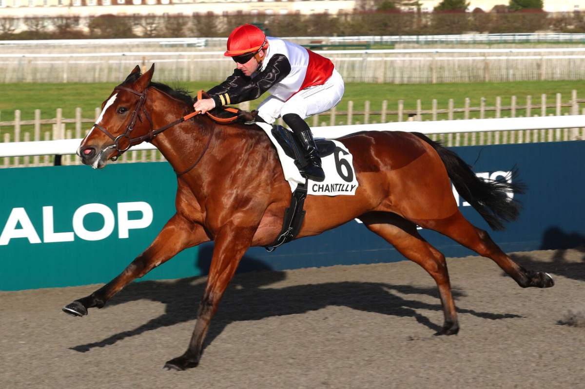 Pronostic gratuit du PRIX DE L'ECLUSE DE CREIL - 6 déc. 2025 par Canalturf