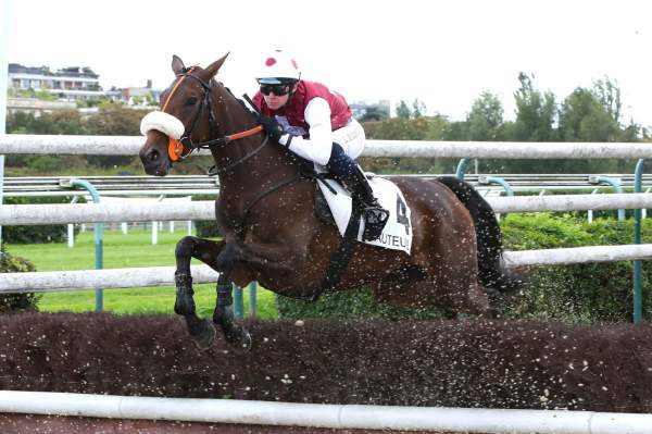 COURTOISY