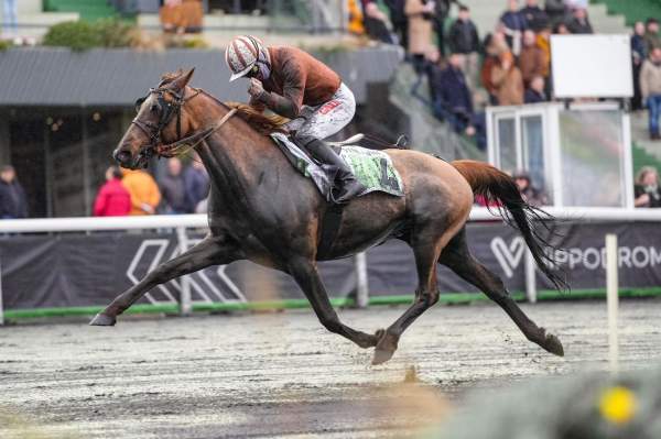 Edition Gema Arrivée PMU Prix du Pontavice de Heussey à Vincennes