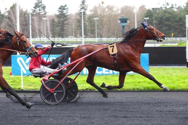 Isofou Du Chene arrivée Quinté+ ¨Prix de Bracieux à Paris Vincennes