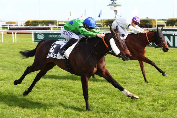 La photo de Sunfast