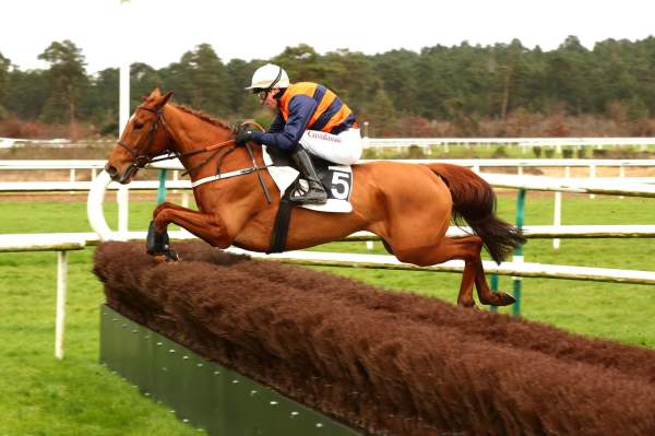 FORET VIERGE