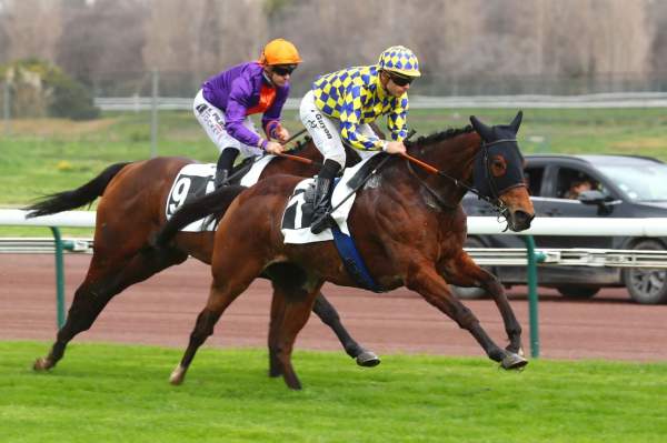 Azov Arrivée Quinté+ PMU Prix de Carnoux-en-Provence à Marseille-Borély