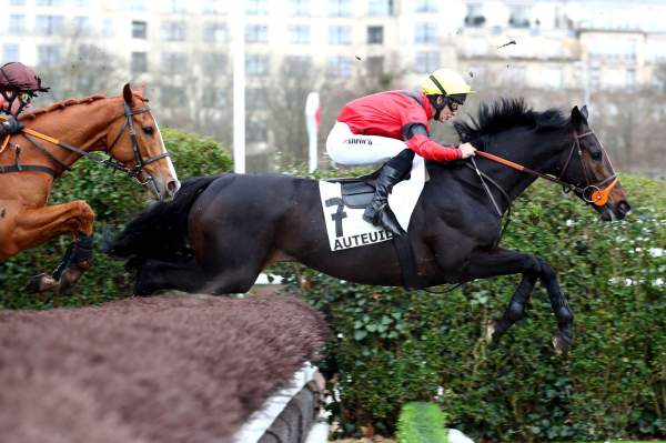 HERCULE DU BERLAIS