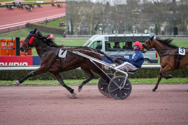 IMAGE DE FLAM