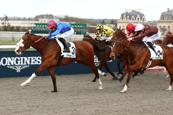 Prince A Rio Arrivée Quinté+ Pmu Prix du Palio de Chantilly