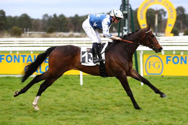 LE ROI DAVID