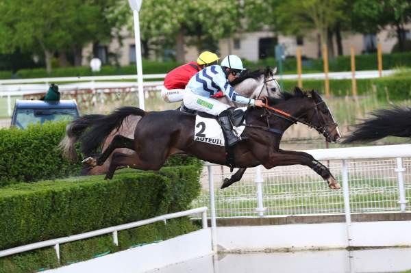 Kolokico arrivée pmu Prix René Couetil à Auteuil