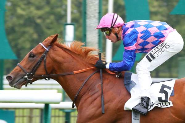 Fast Tracker Arrivée PMU Prix de Suresnes à Chantilly
