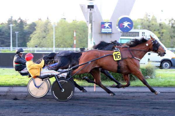 Global Agreement Arrivée quinté+ PMU Prix Bettina à Vincennes