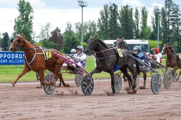 Heros D'yvel Arrivée Quinté+ Pmu Prix Henri Berry à Vichy