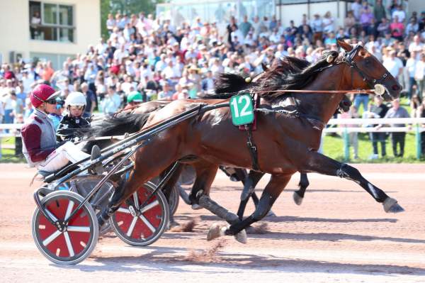 Koctel Du Dain Arrivée PMU Prix Guillaume le Conquérant à Caen