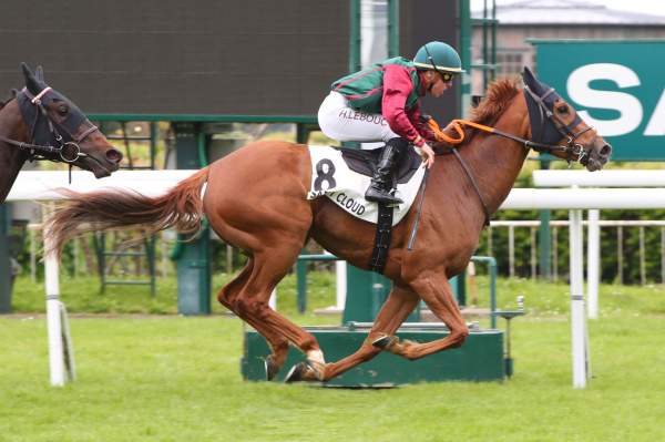 Etel Du Ninian Arrivée Quinté Pmu Prix Pistol Packer à Saint-Cloud