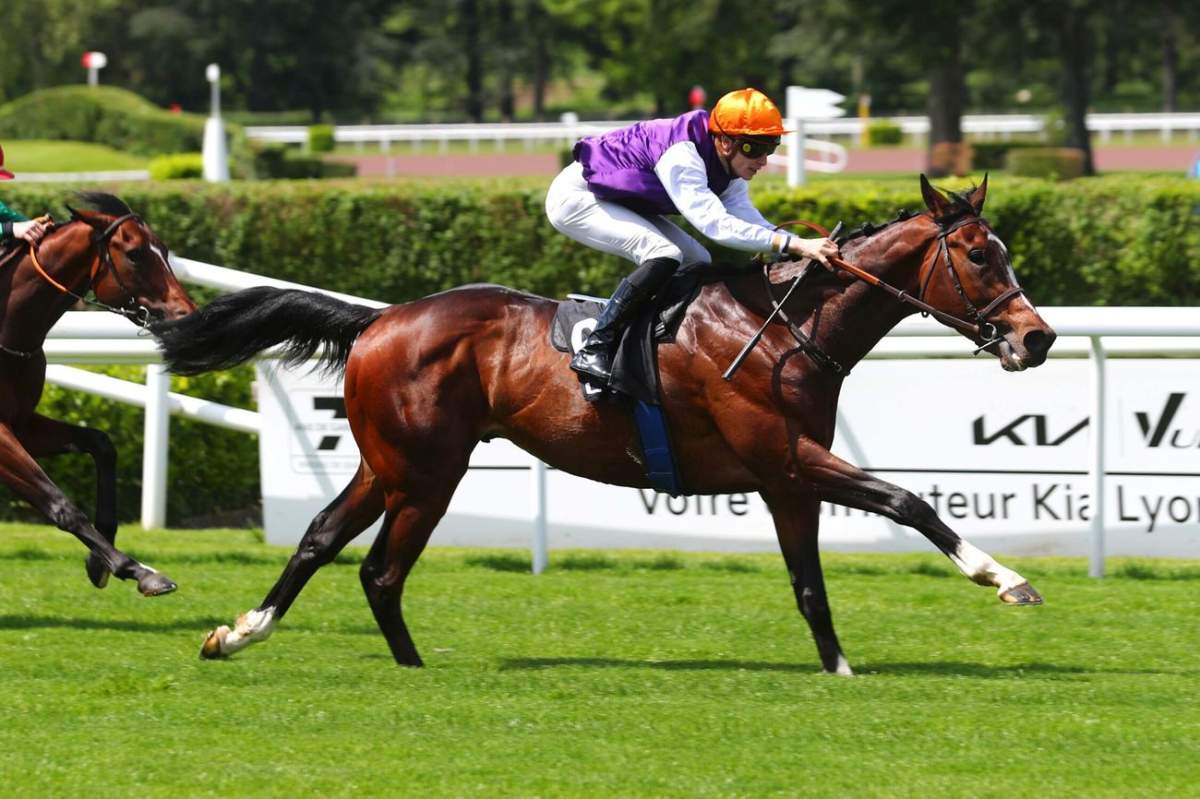 Morgan Cheval Pronostic Quinté PMU du PRIX JACQUES ROSSI (PRIX JULES MORGAN) du 12 ...