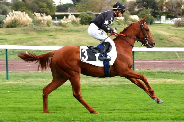 NOBLE COTAI