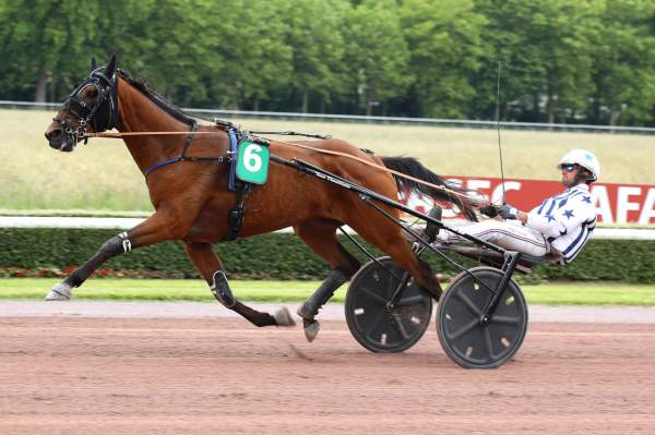 KING DU VIVIER