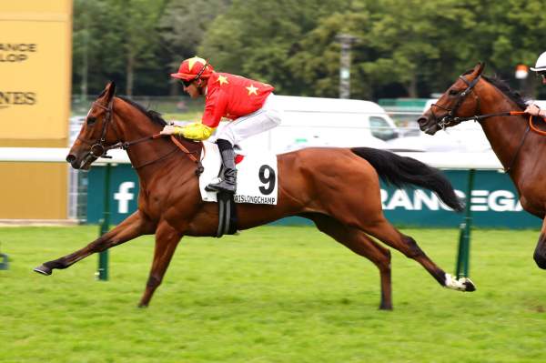 Love Rush arrivée pmu Prix de Solferino à Longchamp