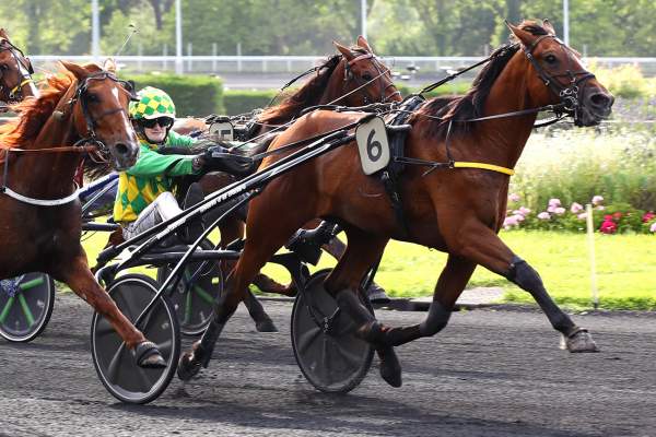 JOLVIK DE GUEZ