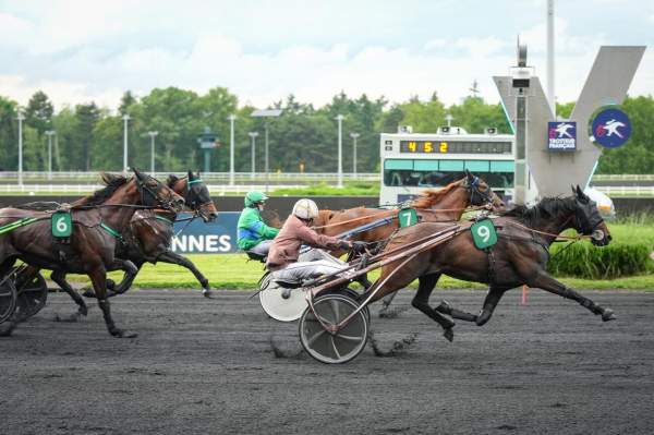 LEXINGTON DANICA