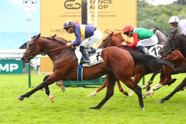 La photo de Chess