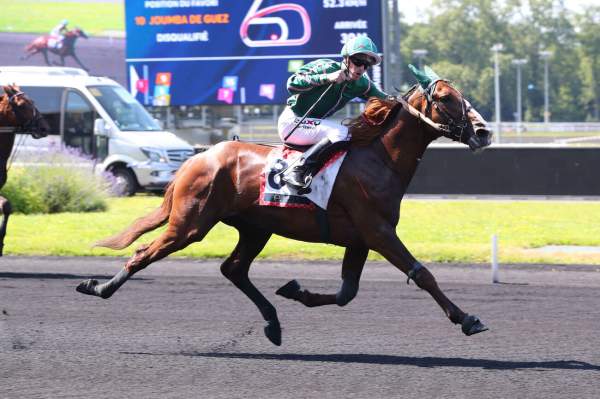 Jeroboam D'erable Arrivée PMU Prix de Normandie - Etrier 5 Ans Finale à Vincennes