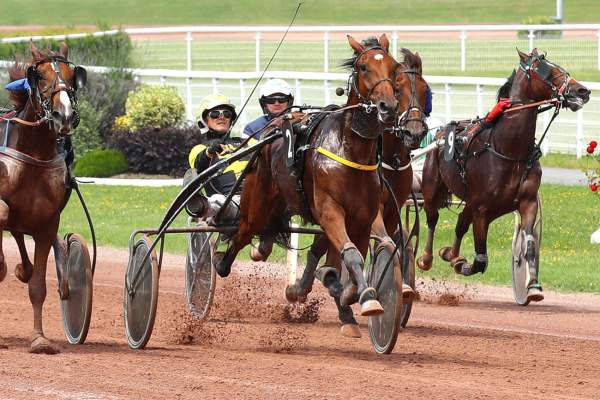 LEADER DU LOISIR