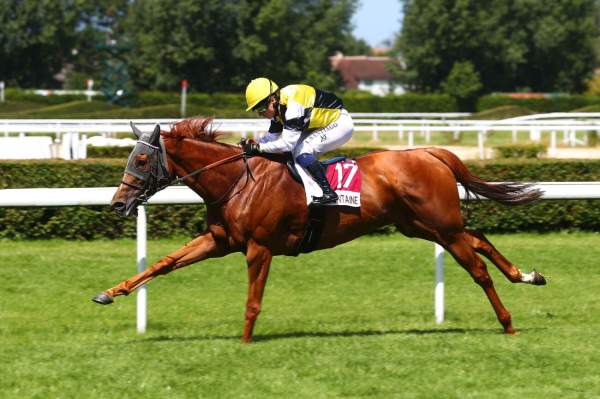 STAR LUCE
