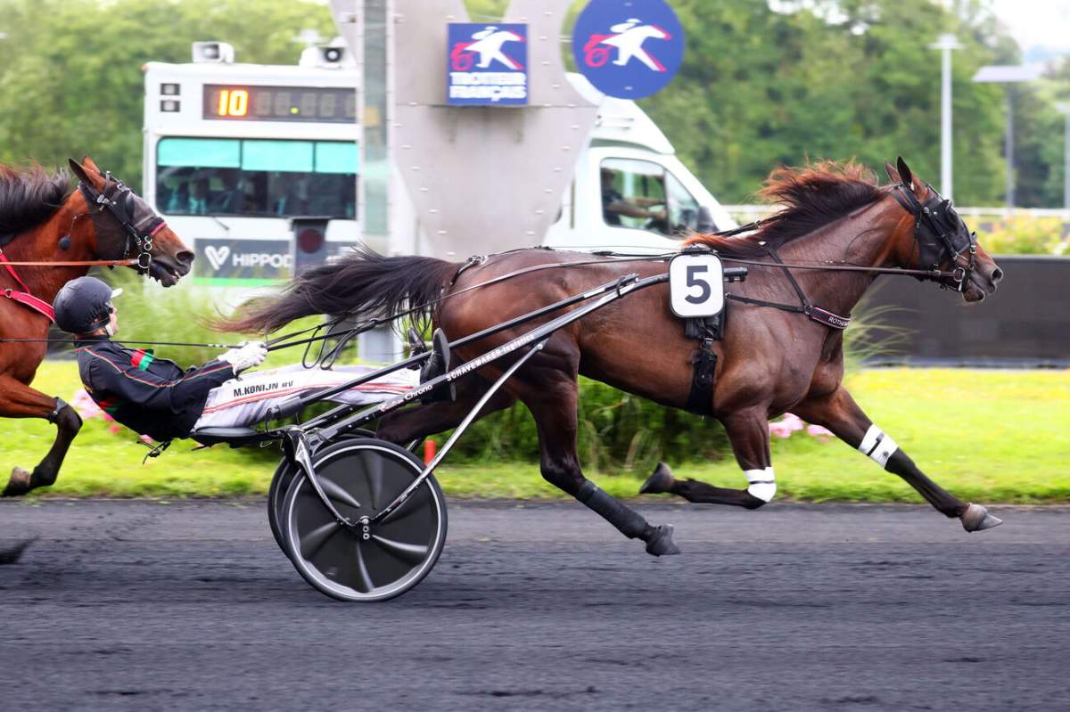 SPEEDRISE LADY S - La fiche CANALTURF du cheval, performances pmu ...