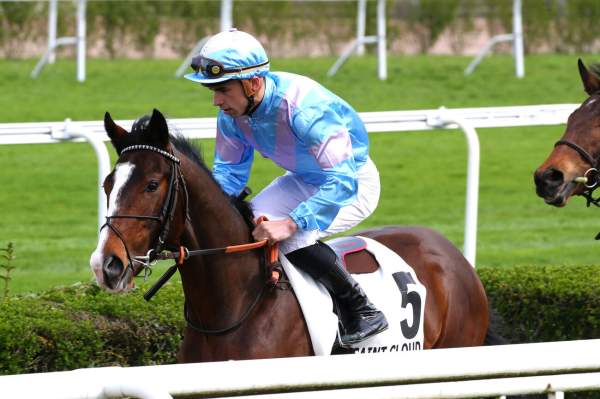 LORD MIESQUE