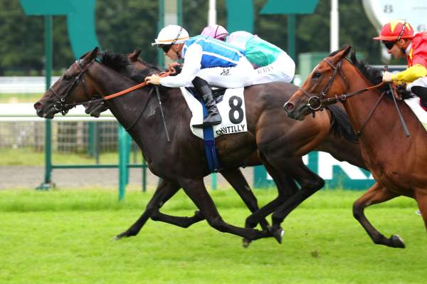 Blush Arrivée PMU Darley Prix Chloé à Chantilly