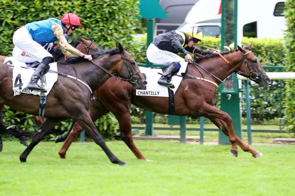 Arabie Arrivée PMU Prix Robert Papin à Chantilly