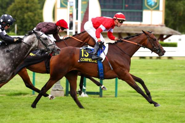 Iken Arrivée Quinté+ Pmu Prix des Hauts-de-France à Compiègne