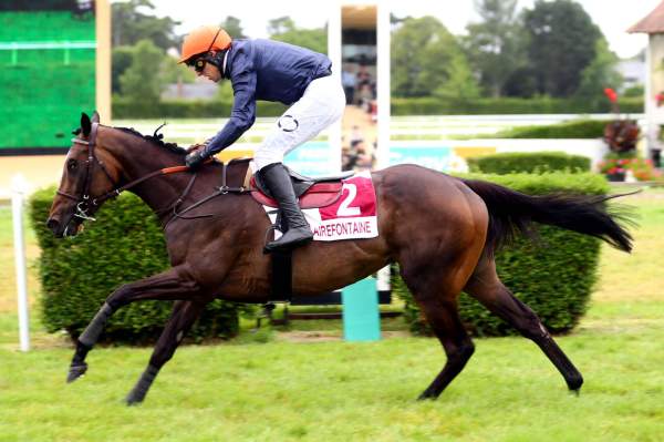 LADY DU SAPHIR