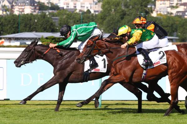 Angeal arrivée pmu Prix Six Perfections (Gr.3) à Deauville