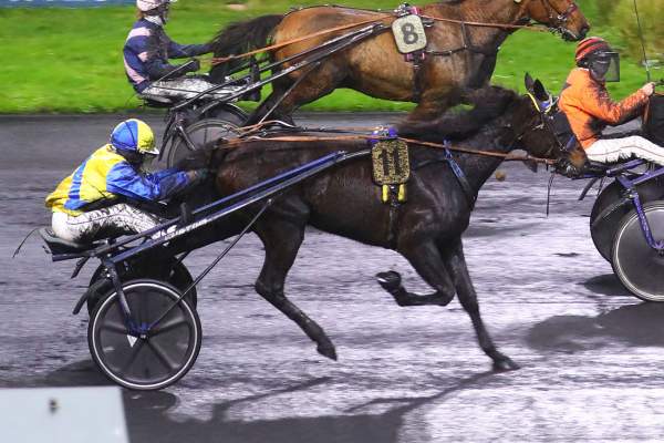 FILOU NICAUX