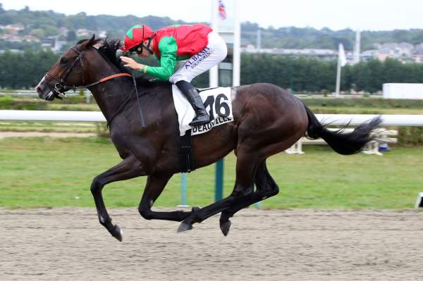 Blue Brother arrivée Quinté+ pmu Prix de Balleroy à Deauville